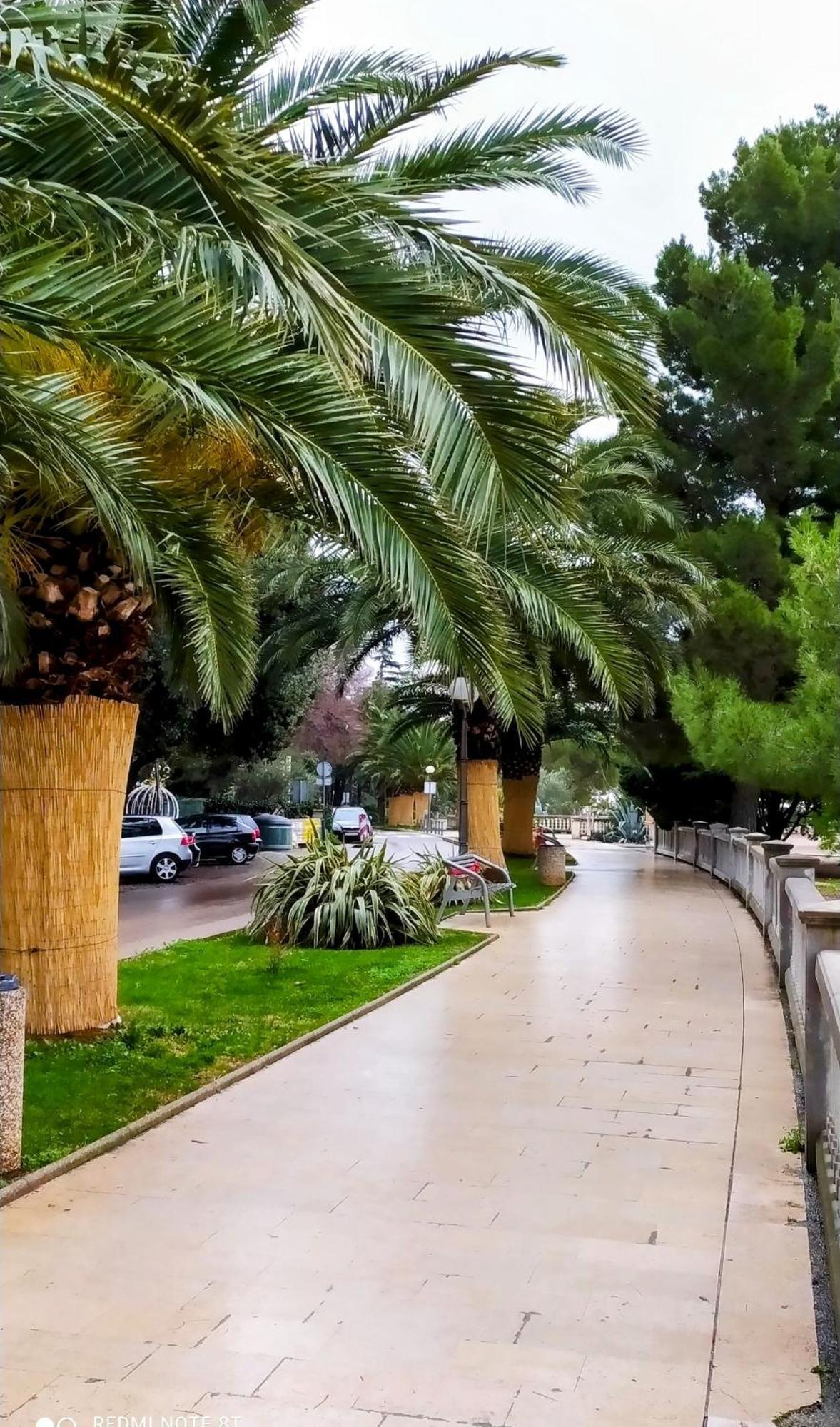 شقة Adria تْسْغيكفانِتْسا المظهر الخارجي الصورة
